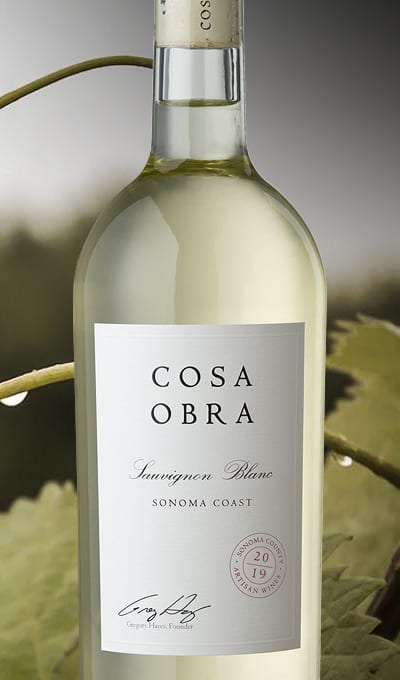 2019 Sauvignon Blanc